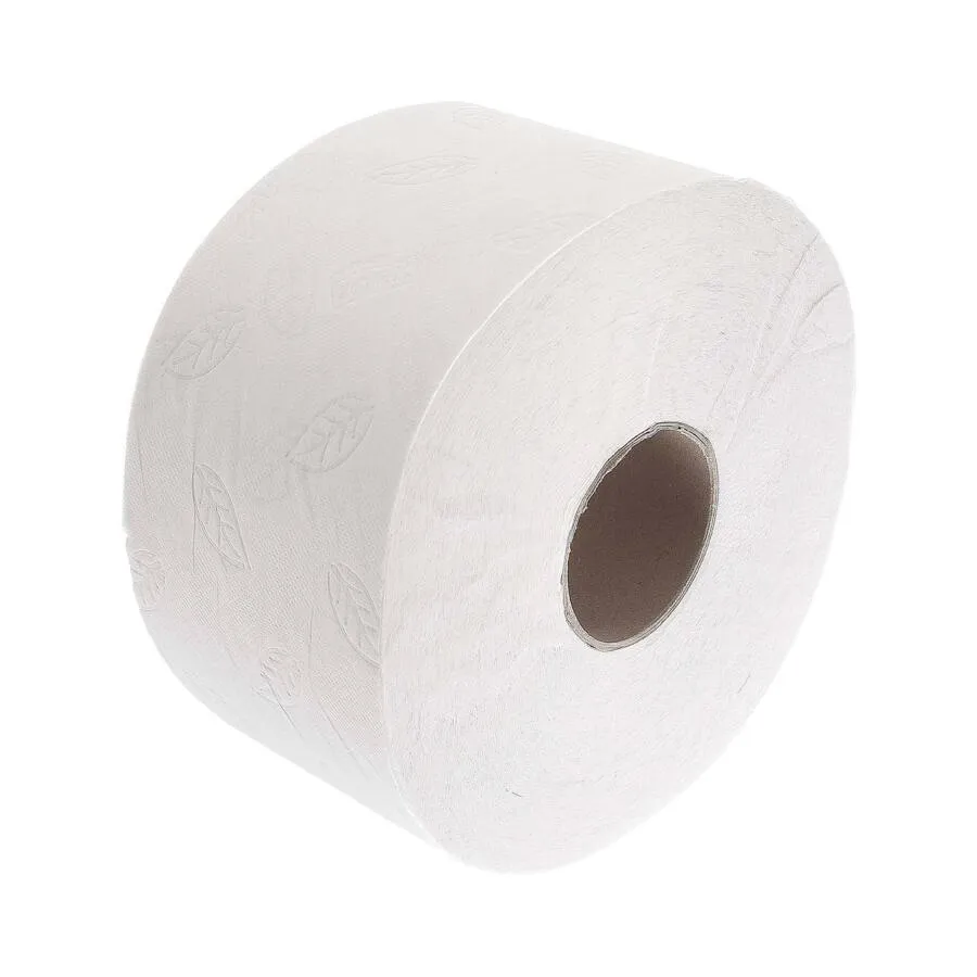 PAPIER TOALETOWY PUCH BIAŁY  A8
